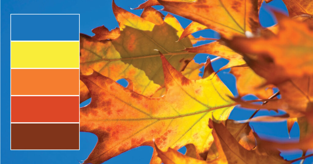 Triadic color palette beside bright yellow and orange autumn leaves against a clear blue sky.