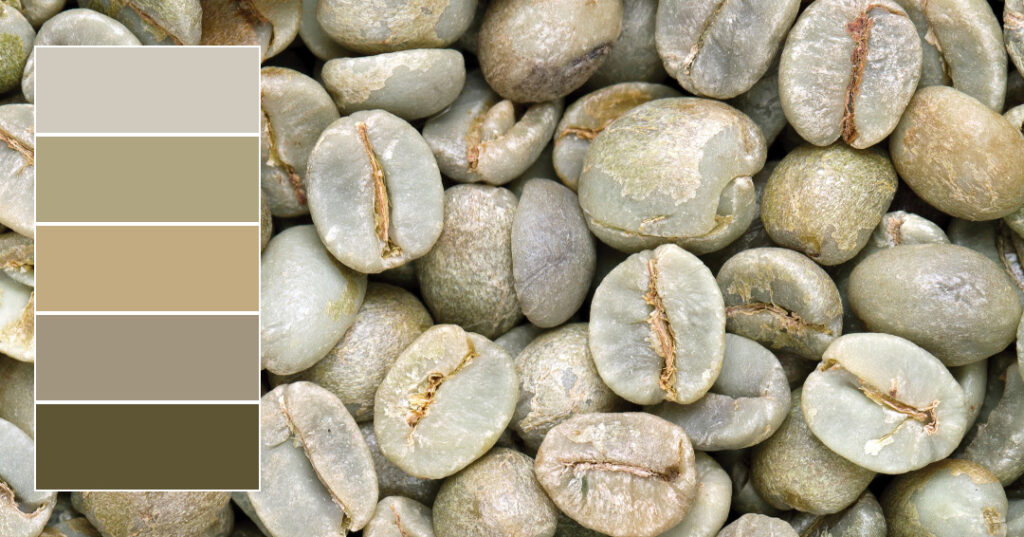 Neutral color palette beside a close‑up of raw green coffee beans.