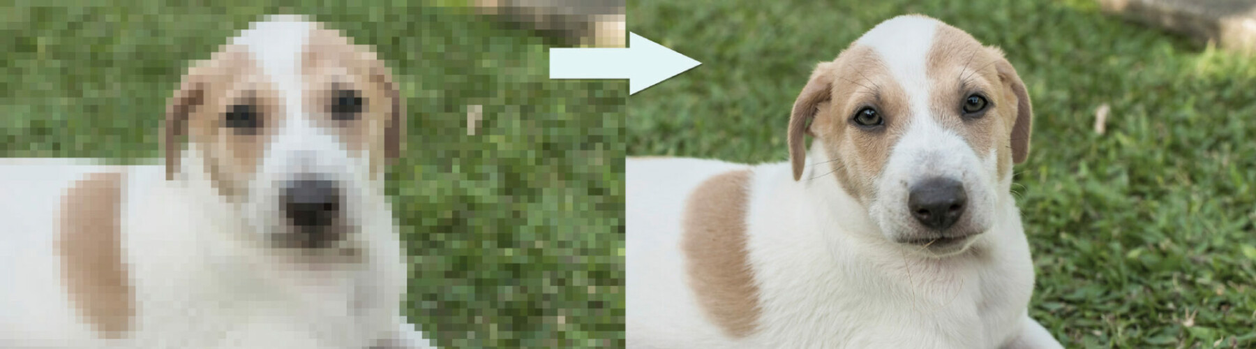 Yearbook Proofing Checklist - Friesens