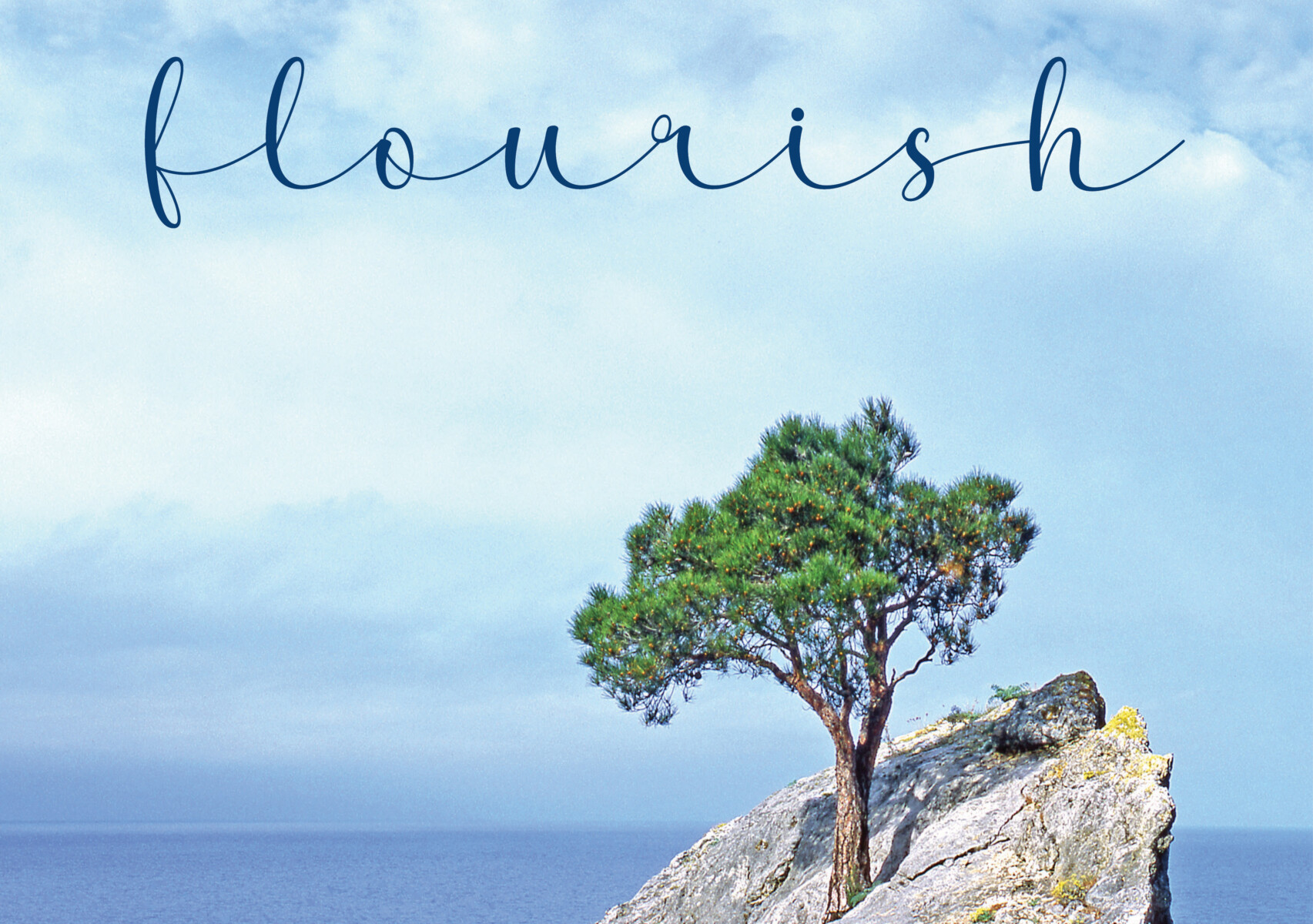 Single green tree standing on a rocky ledge overlooking a calm blue sky and water