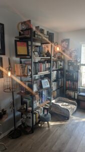 Corner bookshelf filled with books and decor beside a pet bed, warm lighting, and a sunlit window.