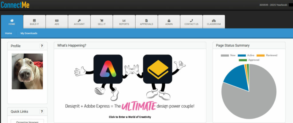 Screenshot of the ConnectMe dashboard showing profile photo, menu tabs, a graphic banner, and a page status chart.