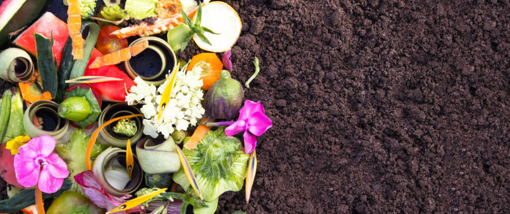 Colorful food scraps and plant material arranged beside rich, dark soil to illustrate composting.