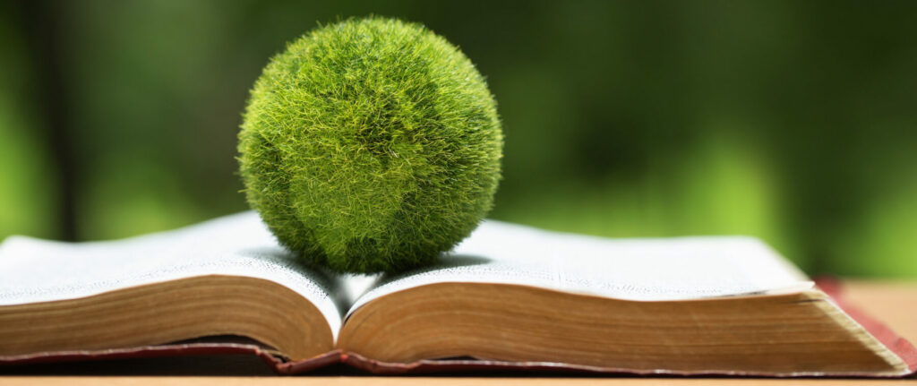 Green moss-covered sphere resting on an open book in natural outdoor light.