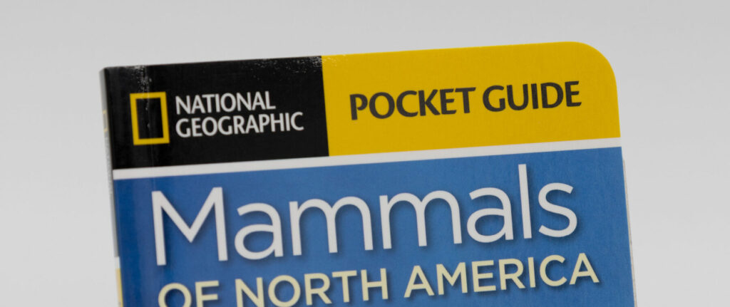 Close-up of the top portion of a National Geographic pocket guide titled “Mammals of North America" showing rounded corners.