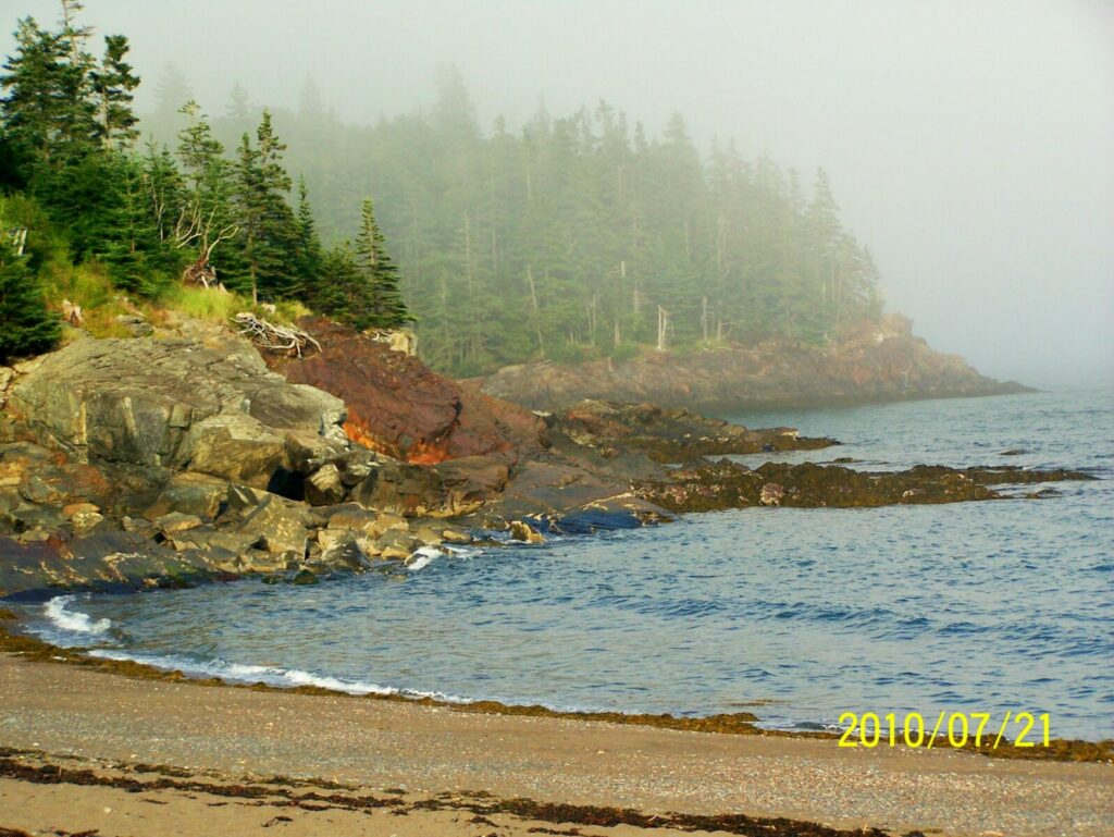 Rocky shoreline with waves, evergreens, and fog rolling over the cliffs at a quiet cove.