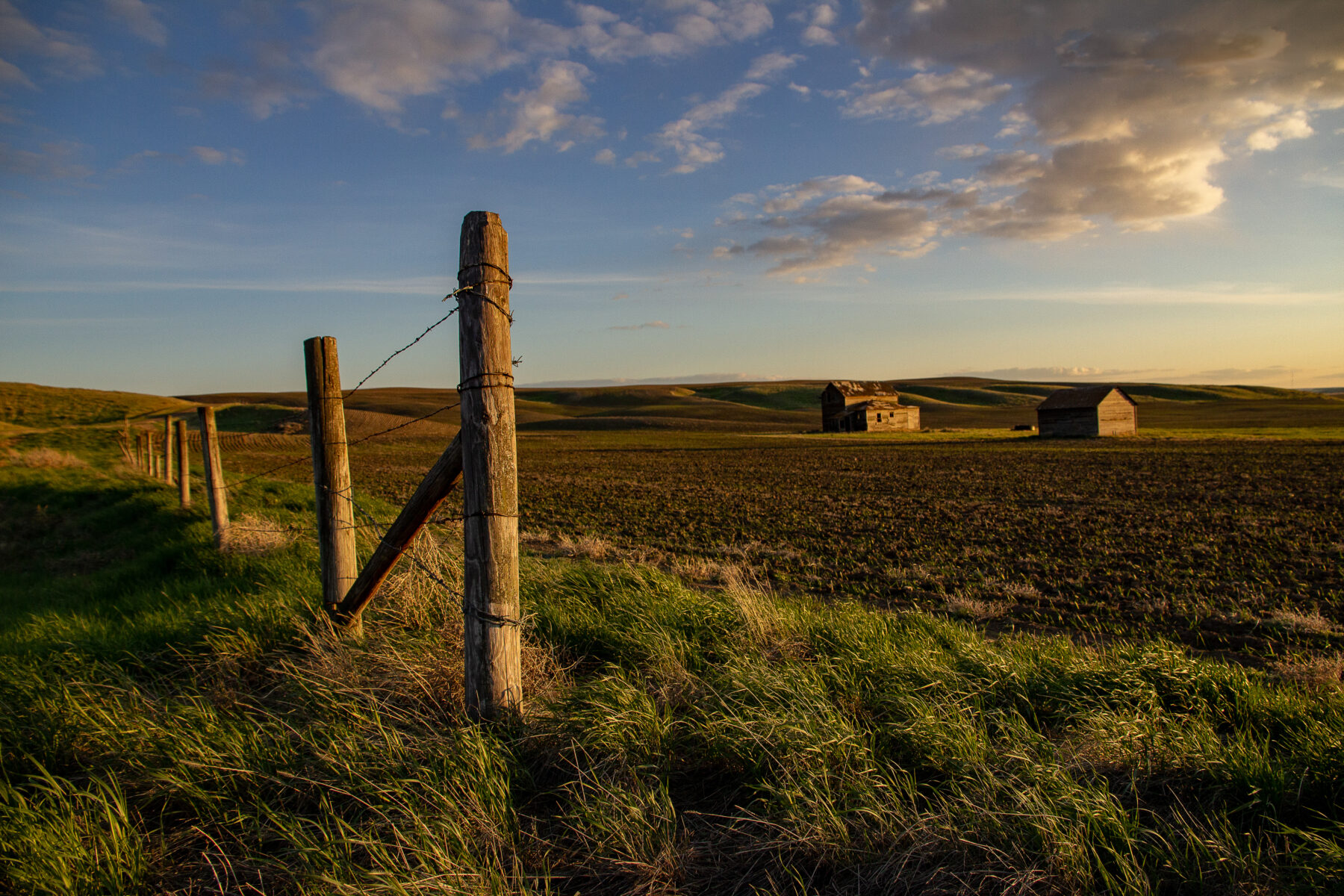 Barbed‑wire fence and grassy prairie leading to two old farm buildings under a warm sunset sky.