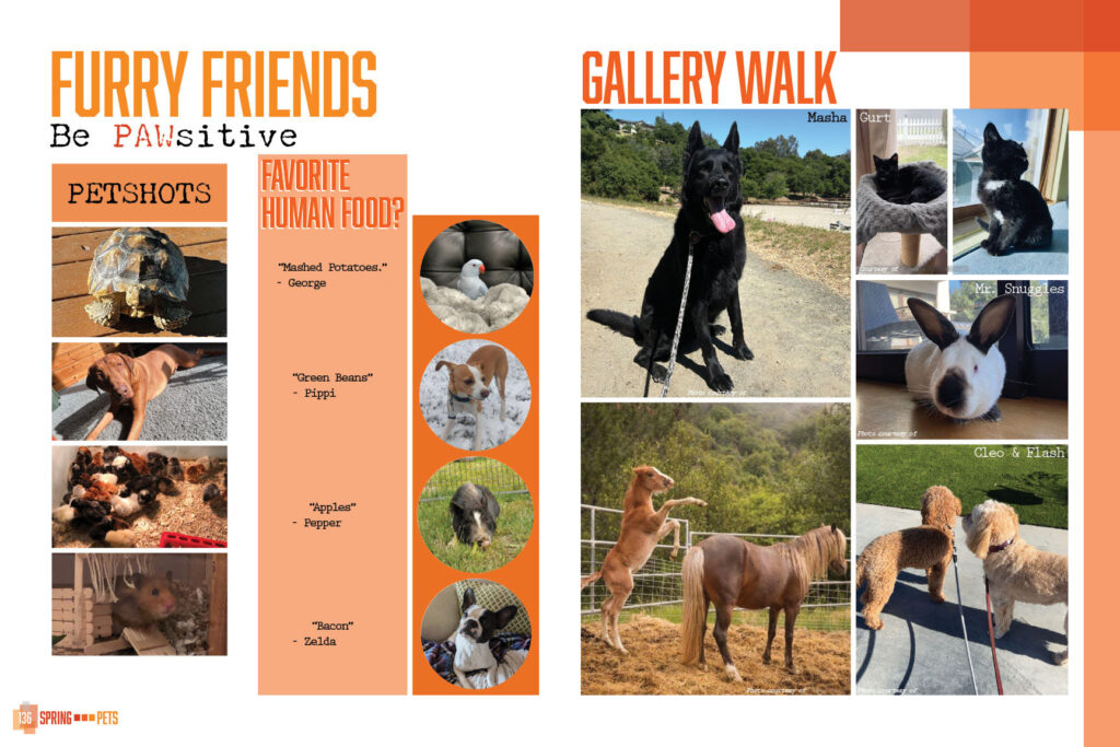 Yearbook spread with a collage of pets—dogs, cats, rabbits, horses, and small animals—under the themes ‘Furry Friends’ and ‘Gallery Walk.’