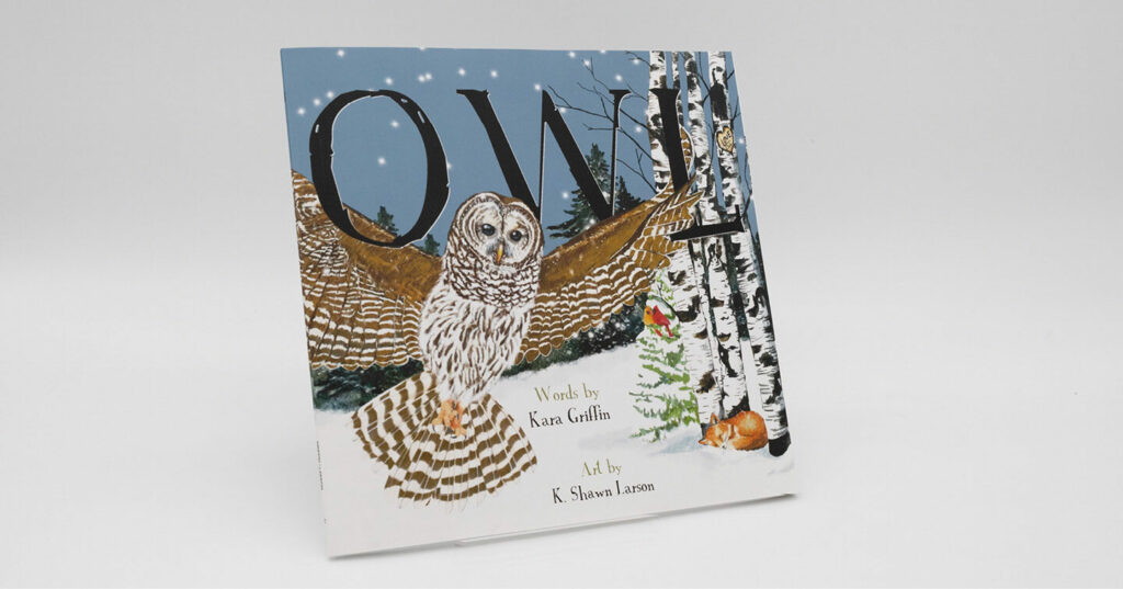 A children’s book titled Owl featuring an illustrated owl in flight against a snowy forest background with birch trees.