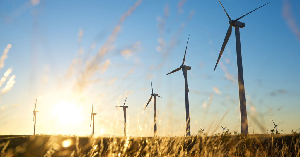 Row of wind turbines standing in a grassy field, backlit by the low sun under a clear blue sky.