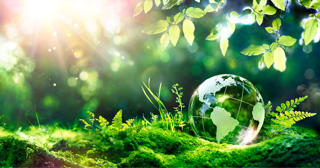Glass globe resting on moss and greenery, surrounded by leaves and soft sunlight in a lush forest scene.