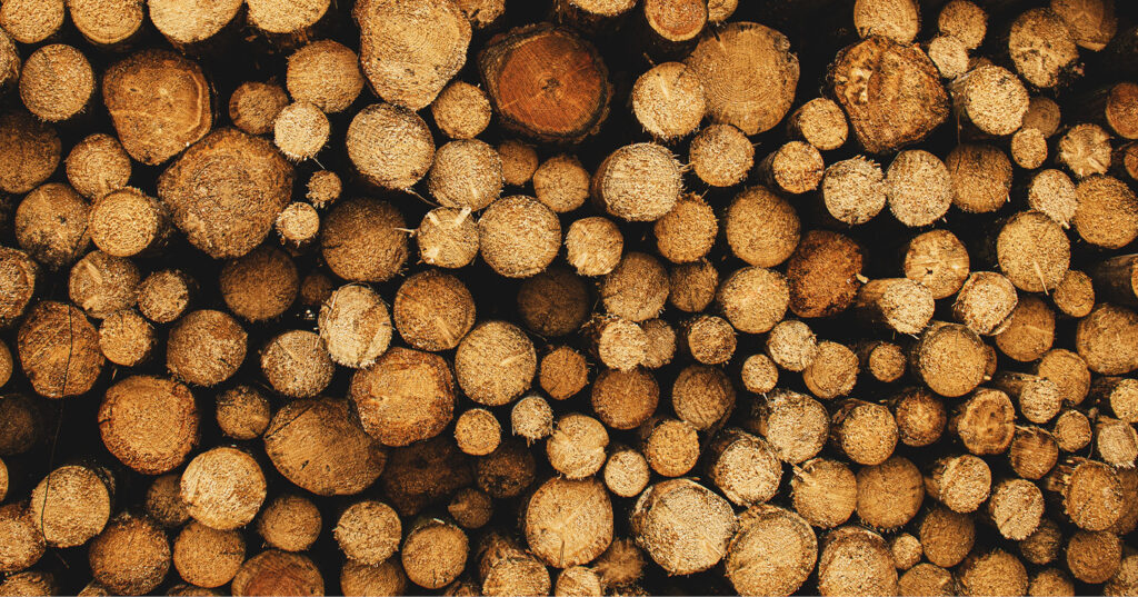 Close-up view of neatly stacked cut logs showing circular wood grain and warm natural tones.