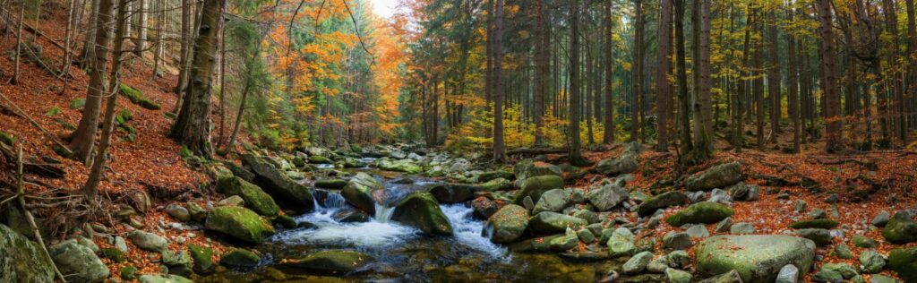 Rocky forest stream winding through autumn woods, surrounded by moss-covered boulders and colourful leaves.