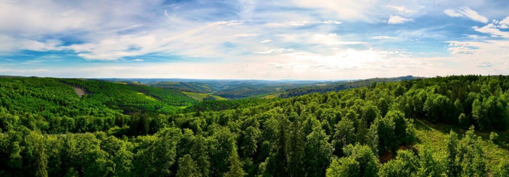 Panoramic view of lush green forested hills and valleys under a bright sky with scattered clouds.